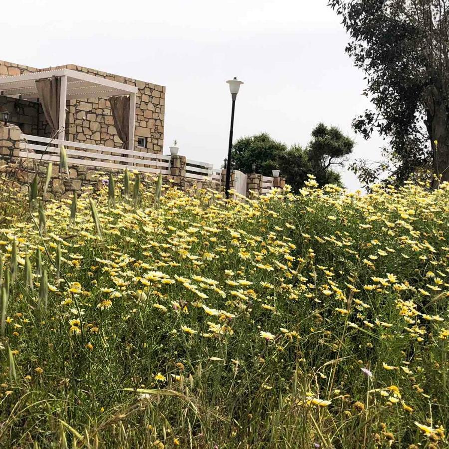 Pefki  Villa Aegean View Lindos-Pefkoi מראה חיצוני תמונה