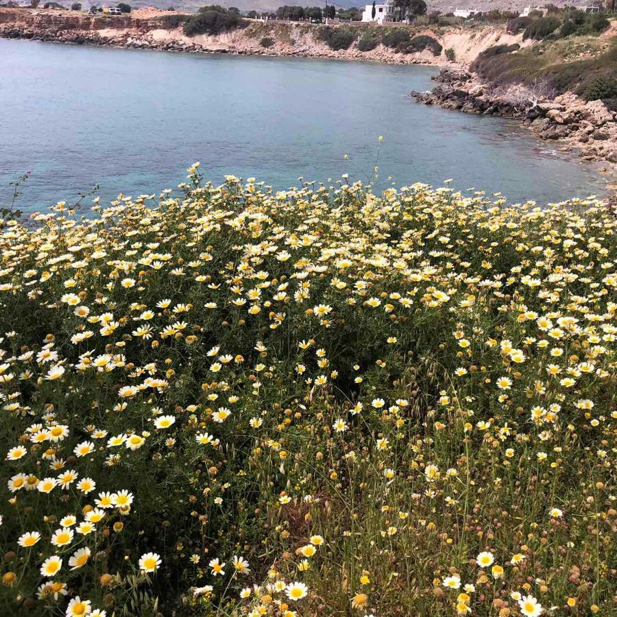 Pefki  Villa Aegean View Lindos-Pefkoi מראה חיצוני תמונה